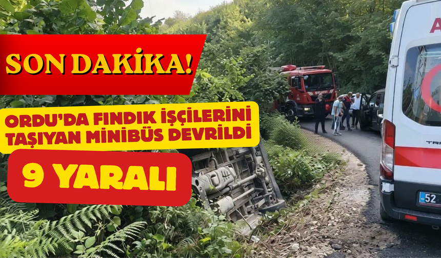Ordu’da fındık işçilerini taşıyan minibüs devrildi: 9 yaralı