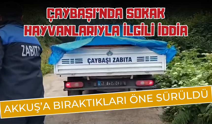 ÇAYBAŞI’NDA SOKAK HAYVANLARIYLA İLGİLİ İDDİA: AKKUŞ’A BIRAKTIKLARI ÖNE SÜRÜLDÜ