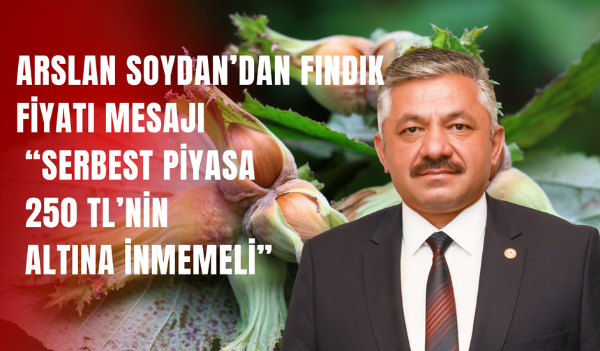 Arslan Soydan’dan Fındık Fiyatı Mesajı: “Serbest Piyasa 250 TL’nin Altına İnmemeli”