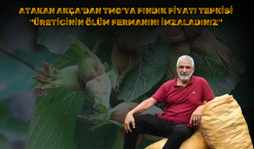 ATAKAN AKÇA'DAN TMO'YA FINDIK FİYATI TEPKİSİ: "ÜRETİCİNİN ÖLÜM FERMANINI İMZALADINIZ"