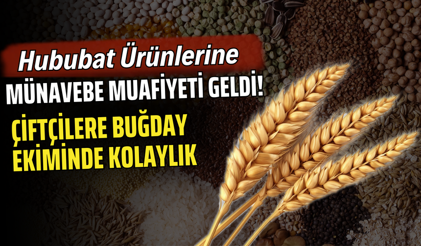 Hububat Ürünlerine Münavebe Muafiyeti Geldi! Çiftçilere Buğday Ekiminde Kolaylık