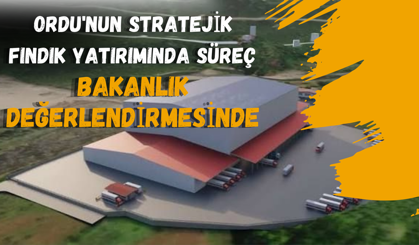 Ordu'nun Stratejik Fındık Yatırımında Süreç Bakanlık Değerlendirmesinde