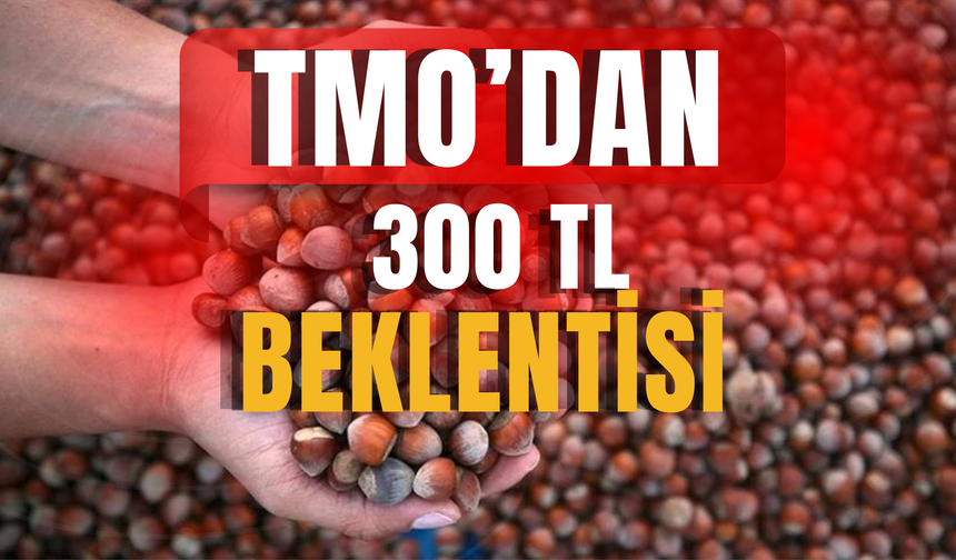 TMO'dan 300 TL Beklentisi
