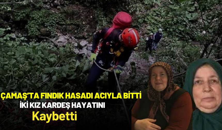 Çamaş’ta Fındık Hasadı Acıyla Bitti: İki Kız Kardeş Hayatını Kaybetti