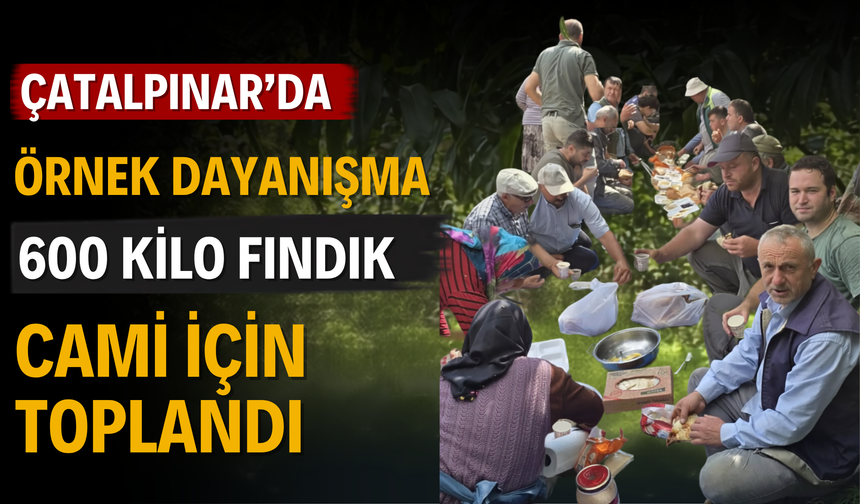 Çatalpınar’da Örnek Dayanışma: 600 Kilo Fındık Cami İçin Toplandı