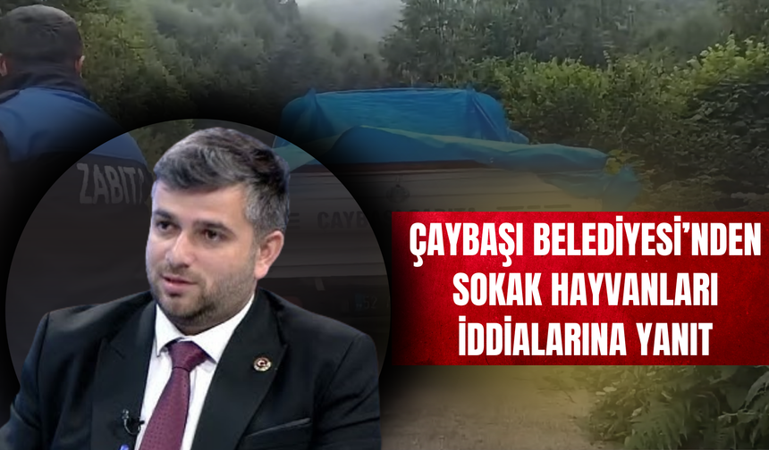 Çaybaşı Belediyesi’nden Sokak Hayvanları İddialarına Yanıt