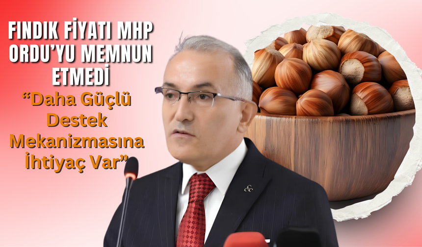 Fındık Fiyatı MHP Ordu’yu Memnun Etmedi: “Daha Güçlü Destek Mekanizmasına İhtiyaç Var”
