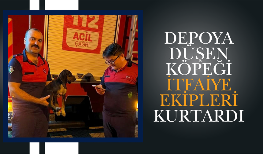 Depoya Düşen Köpeği İtfaiye Ekipleri Kurtardı