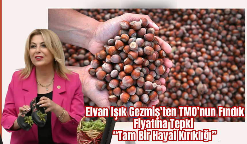 Elvan Işık Gezmiş’ten TMO’nun Fındık Fiyatına Tepki: “Tam Bir Hayal Kırıklığı”