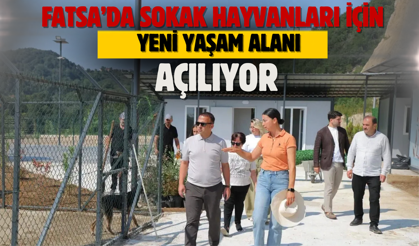 Fatsa’da Sokak Hayvanları İçin Yeni Yaşam Alanı Yarın Açılıyor
