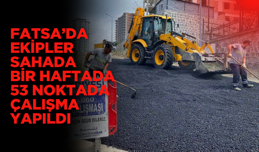 Fatsa’da Ekipler Sahada: Bir Haftada 53 Noktada Çalışma Yapıldı