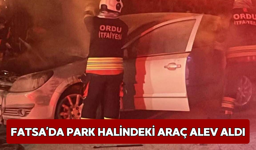 Fatsa’da Park Halindeki Araç Alev Aldı