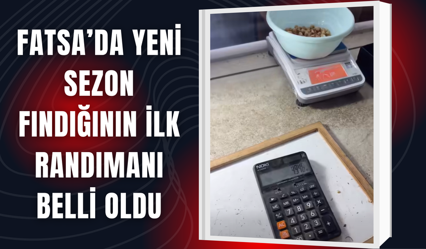 Fatsa’da Yeni Sezon Fındığının İlk Randımanı Belli Oldu