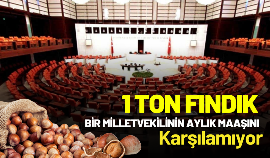 1 Ton Fındık Bir Milletvekilinin Aylık Maaşını Karşılamıyor