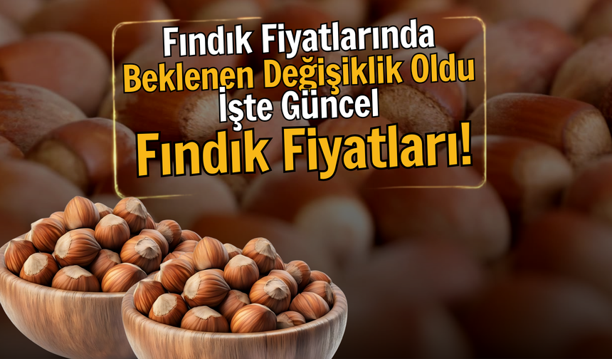 Fındık Fiyatlarında Beklenen Değişiklik Oldu: İşte Güncel Fındık Fiyatları!