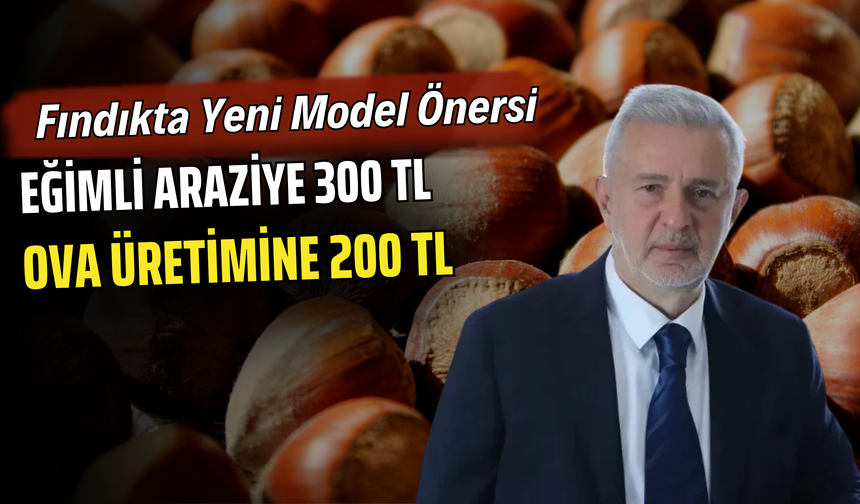 Fındıkta Yeni Model Önerisi: Eğimli Araziye 300 TL, Ova Üretimine 200 TL