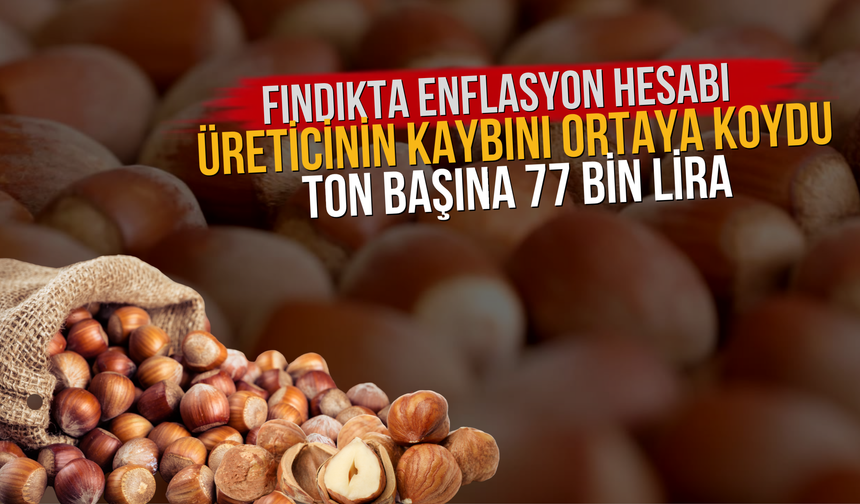 Fındıkta Enflasyon Hesabı Üreticinin Kaybını Ortaya Koydu: Ton Başına 77 Bin Lira