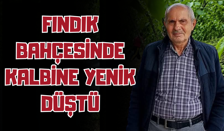 Fındık Bahçesinde Kalbine Yenik Düştü