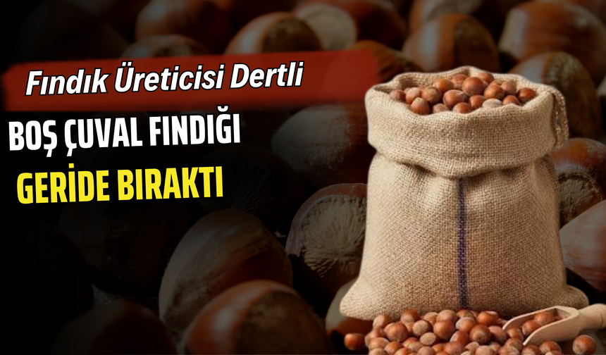 Fındık Üreticisi Dertli: Boş Çuval Fındığı Geride Bıraktı