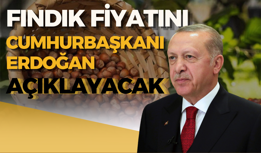 Fındık Fiyatını Cumhurbaşkanı Erdoğan Açıklayacak