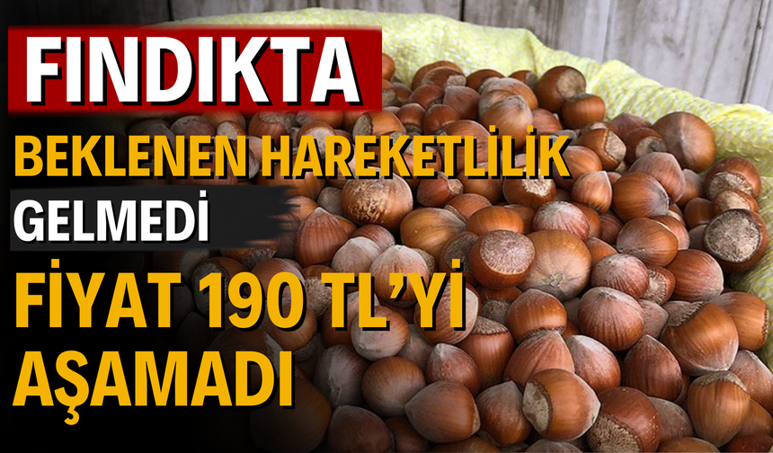 Fındıkta Beklenen Hareketlilik Gelmedi: Fiyat 190 TL’yi Aşamadı