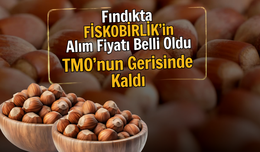 Fındıkta FİSKOBİRLİK’in Alım Fiyatı Belli Oldu: TMO’nun Gerisinde Kaldı