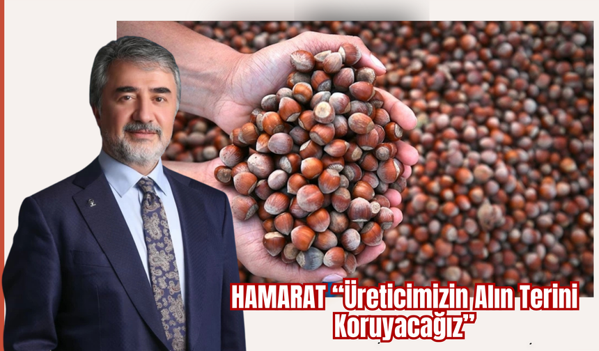 Mustafa Hamarat’tan Fındık Fiyatı Değerlendirmesi: “Üreticimizin Alın Terini Koruyacağız”