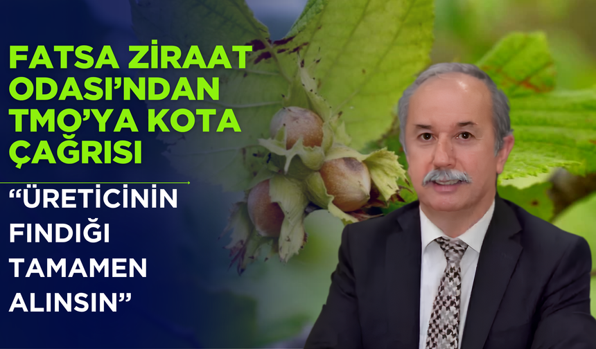 Fatsa Ziraat Odası’ndan TMO’ya Kota Çağrısı: “Üreticinin Fındığı Tamamen Alınsın”