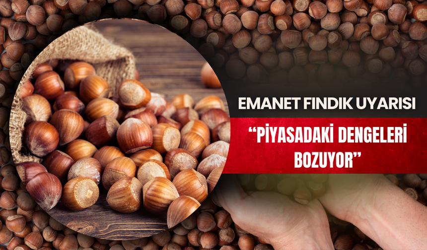 Emanet Fındık Uyarısı “Piyasadaki Dengeleri Bozuyor”
