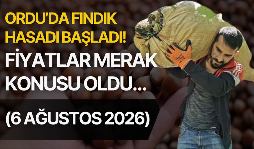 Ordu’da Fındık Hasadı Başladı! Fiyatlar Merak Konusu Oldu… (6 Ağustos 2026)