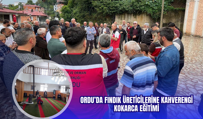 Ordu’da Fındık Üreticilerine Kahverengi Kokarca Eğitimi