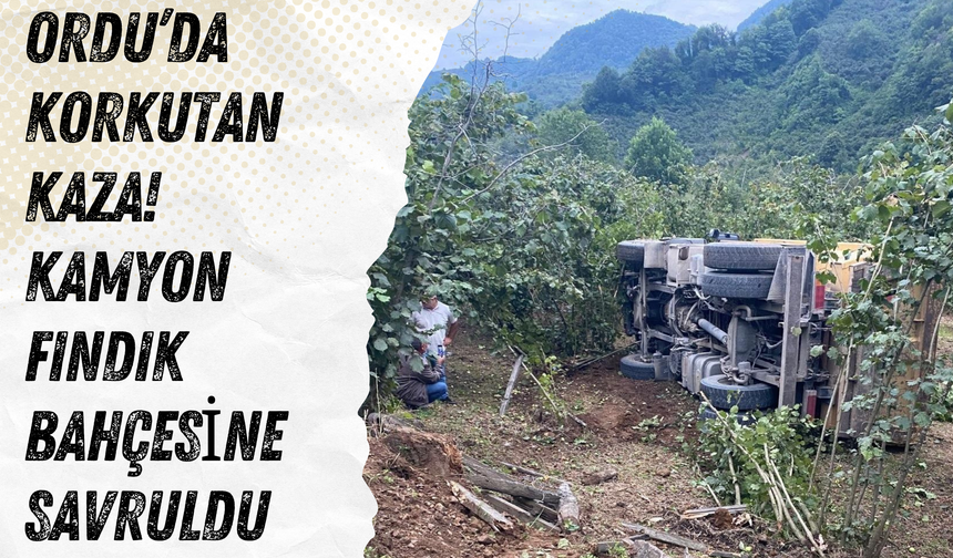 Ordu’da Korkutan Kaza! Kamyon Fındık Bahçesine Savruldu