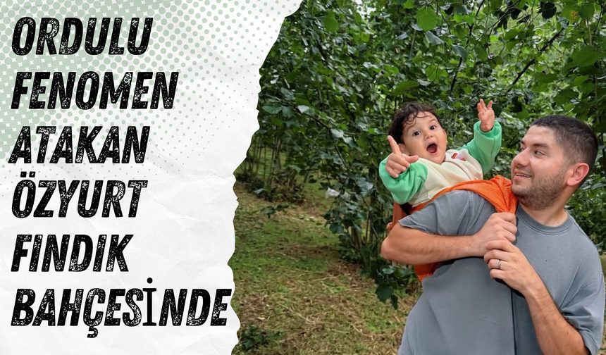 Ordulu Fenomen Atakan Özyurt Fındık Bahçesinde