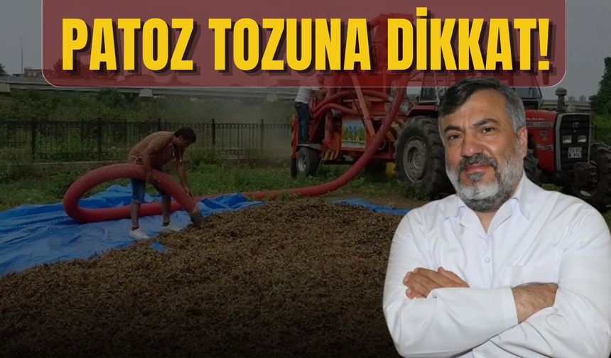 Patoz Tozuna Dikkat!