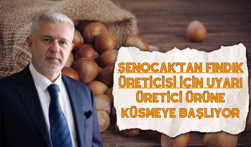 Şenocak’tan Fındık Üreticisi İçin Uyarı: Üretici Ürüne Küsmeye Başlıyor