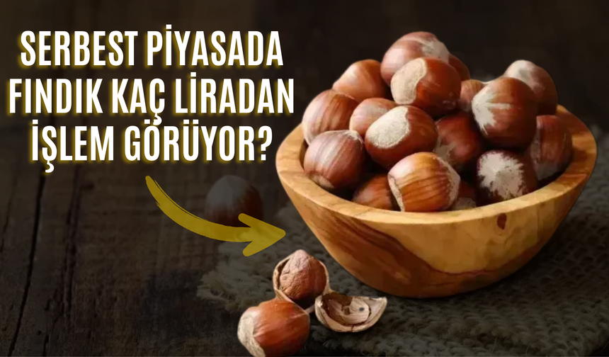 Serbest Piyasada Fındık Kaç Liradan İşlem Görüyor?