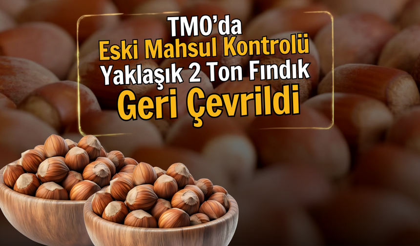 TMO’da Eski Mahsul Kontrolü: Yaklaşık 2 Ton Fındık Geri Çevrildi