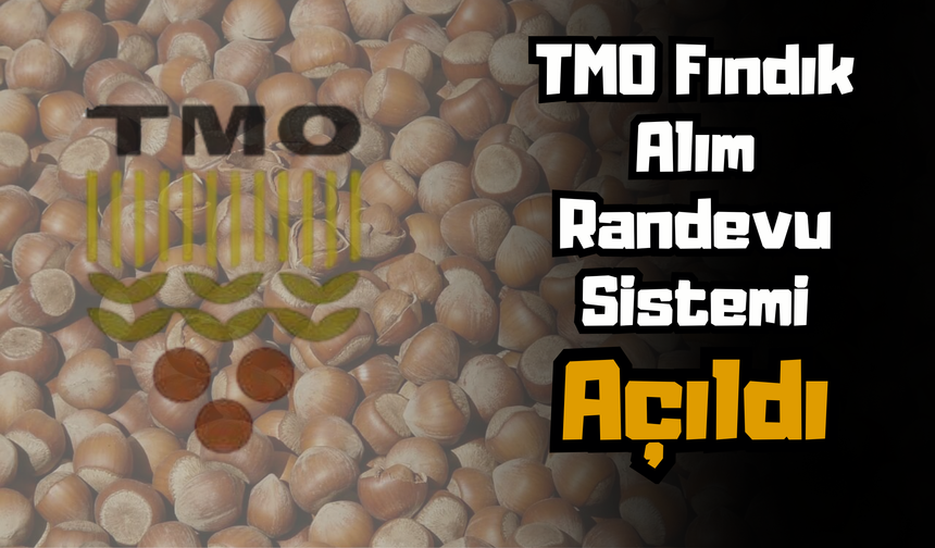 TMO Fındık Alım Randevu Sistemi Açıldı