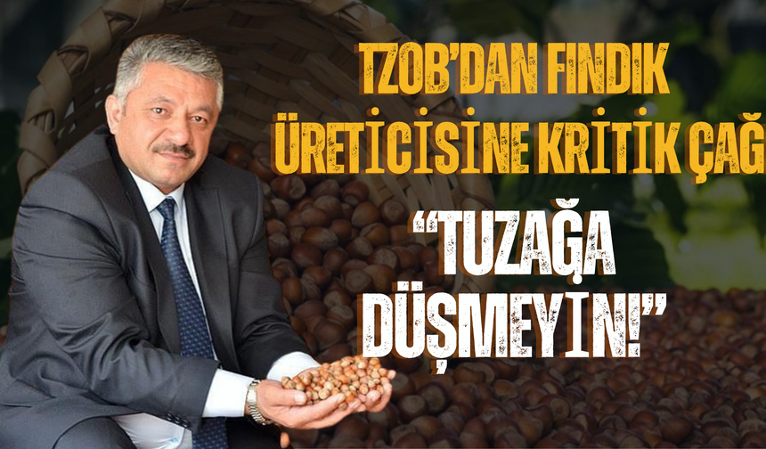 TZOB’dan Fındık Üreticisine Kritik Çağrı: “Tuzağa Düşmeyin!”
