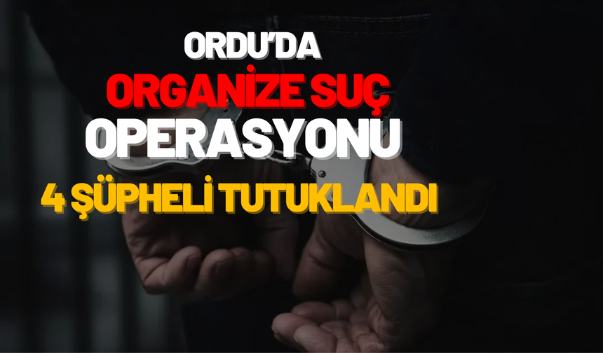 Ordu’da Organize Suç Operasyonu: 4 Şüpheli Tutuklandı
