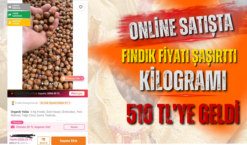 ONLİNE SATIŞTA FINDIK FİYATI ŞAŞIRTTI: KİLOGRAMI 510 TL’YE GELDİ