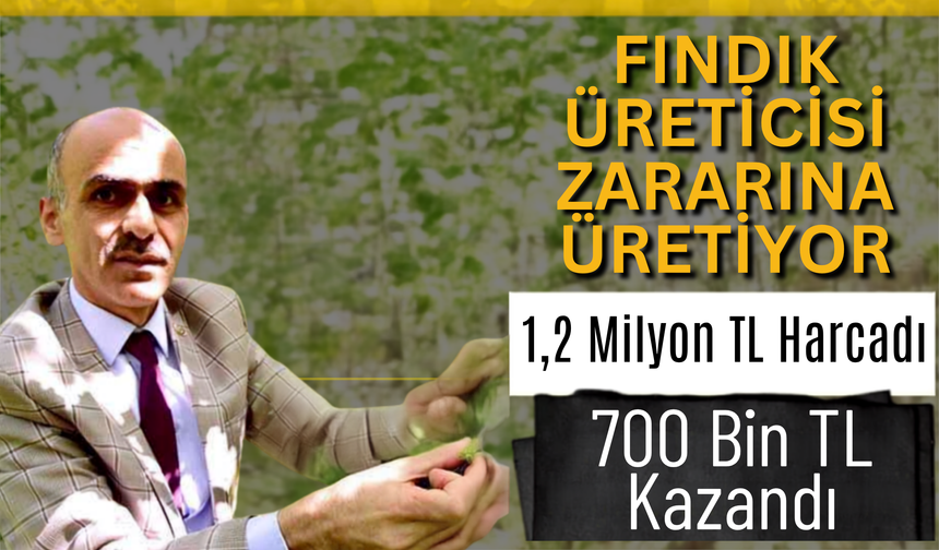 Fındık Üreticisi Zararına Üretiyor: 1,2 Milyon TL Harcadı, 700 Bin TL Kazandı