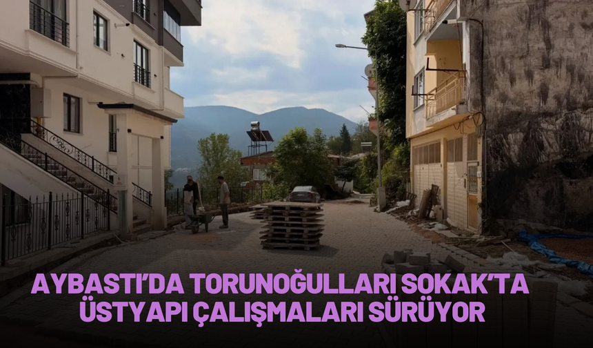 Aybastı’da Sokaklar Yenileniyor: Torunoğulları’nda Çalışma Başladı
