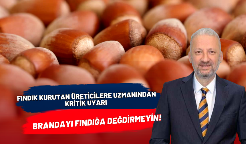 Fındık Kurutan Üreticilere Uzmanından Kritik Uyarı: Brandayı Fındığa Değdirmeyin!