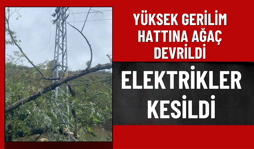Yüksek Gerilim Hattına Ağaç Devrildi, Elektrikler Kesildi