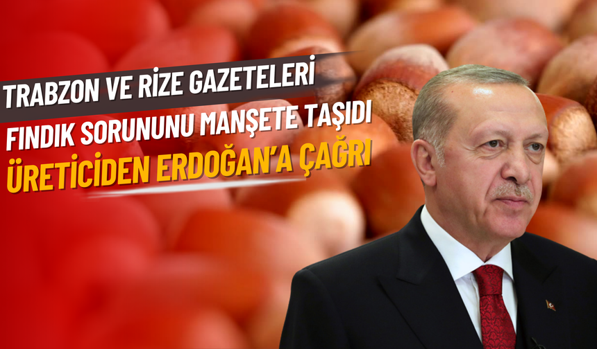 Trabzon ve Rize Gazeteleri Fındık Sorununu Manşete Taşıdı: Üreticiden Erdoğan’a Çağrı