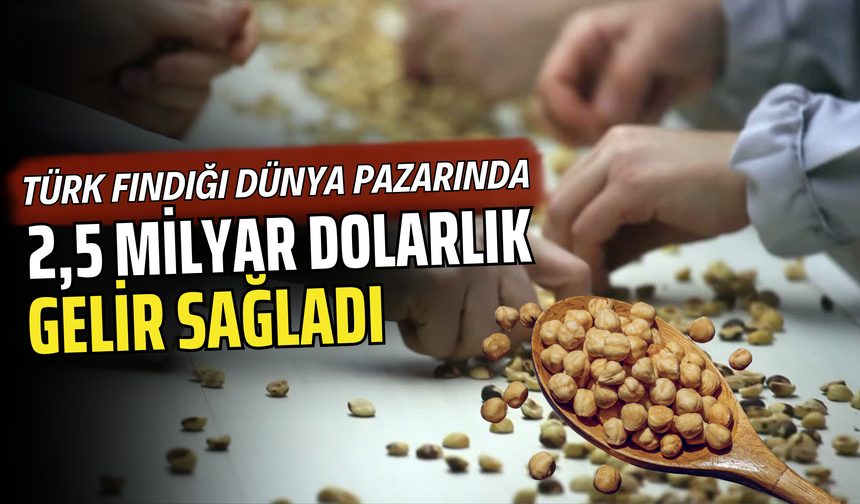 TÜRK FINDIĞI DÜNYA PAZARINDA 2,5 MİLYAR DOLARLIK GELİR SAĞLADI