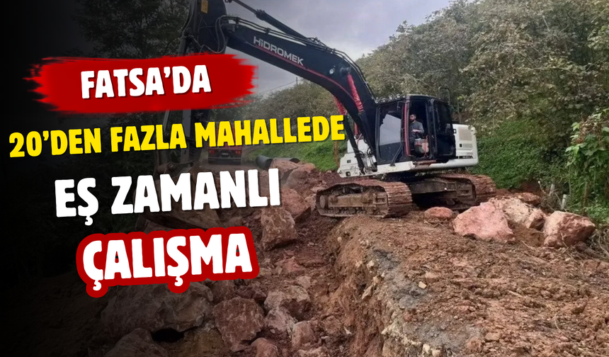 Fatsa’da 20’den Fazla Mahallede Eş Zamanlı Çalışma