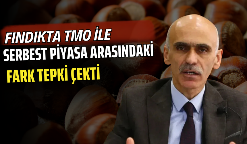 Fındıkta TMO ile Serbest Piyasa Arasındaki Fark Tepki Çekti