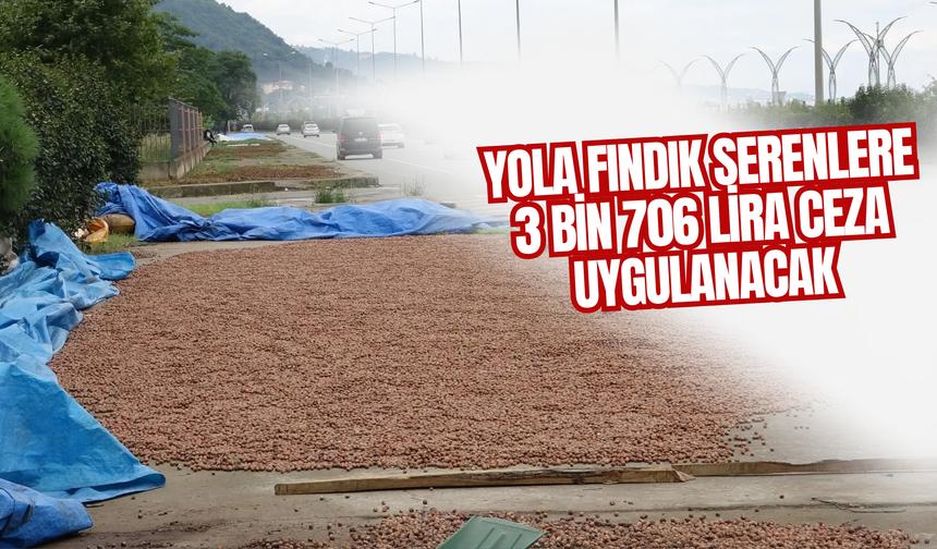 Yola Fındık Serenlere 3 Bin 706 Lira Ceza Uygulanacak